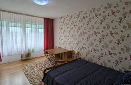 Apartament cu 1 camera, 26 mp, zona Gara Internațională