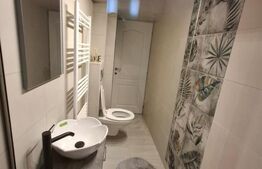 Apartament cu 2 camere, parter, zona Alexandru cel Bun