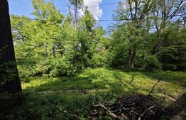 Casuta de vacanta in padure , zona Barnova 