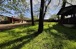 Casuta de vacanta in padure , zona Barnova 