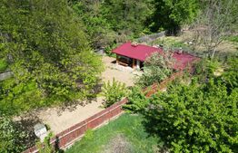 Casuta de vacanta in padure , zona Barnova 