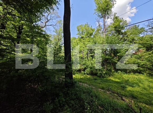 Casa de vânzare 1 camera Bucium - 169464CV | BLITZ Iași | Poza3