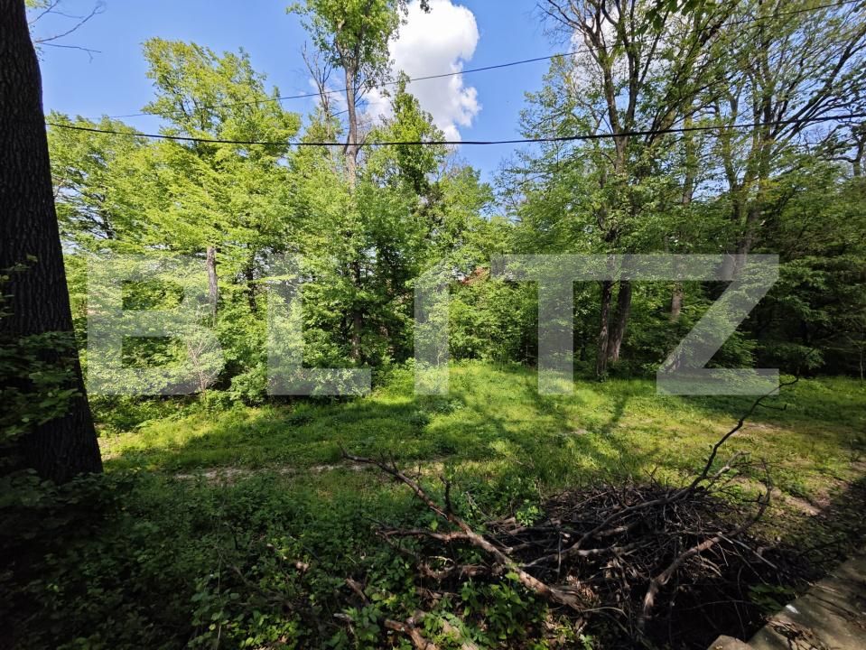 Casa de vânzare 1 camera Bucium - 169464CV | BLITZ Iași | Poza7