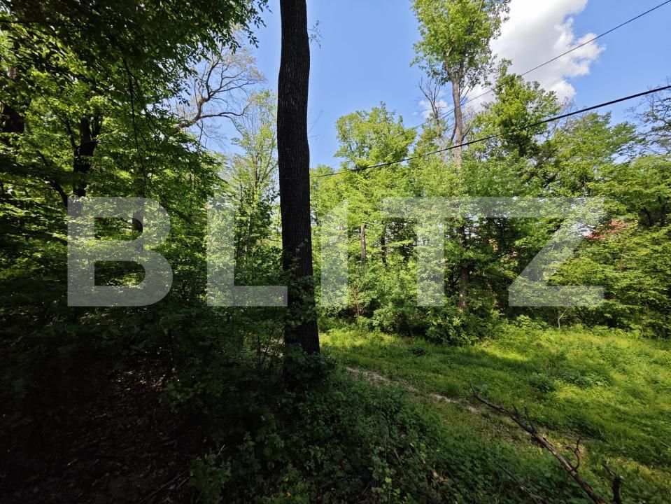 Casa de vânzare 1 camera Bucium - 169464CV | BLITZ Iași | Poza3