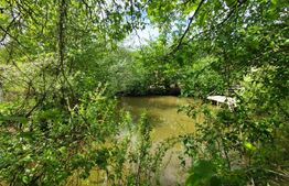 Casa Barnova, 1000 mp teren, zona Hamak