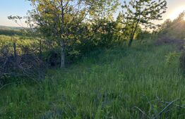 Teren generos, 2700 mp, zona Bucium 