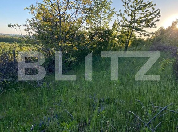 Teren de vânzare Bucium - 169660TV | BLITZ Iași | Poza1