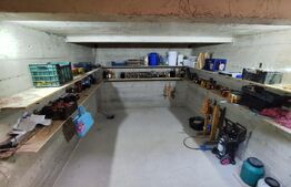 Casa deosebita, P+M, 160 MP utili, 450 teren, Tomesti