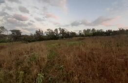 Teren 500 mp, Goruni