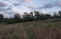 Teren de vânzare Exterior Vest - 88986TV | BLITZ Iași | Poza1