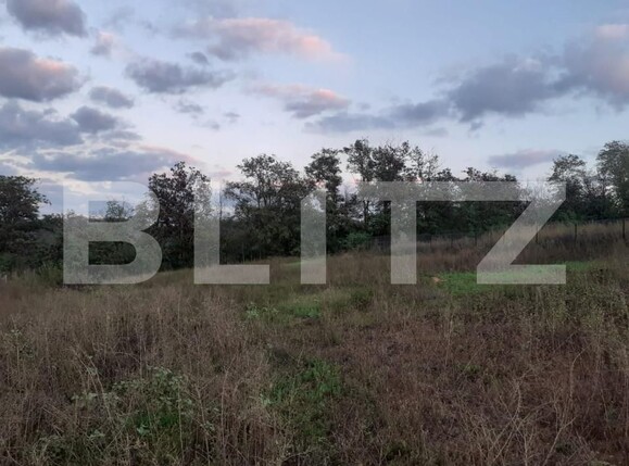 Teren de vânzare Tomesti - 169974TV | BLITZ Iași | Poza1