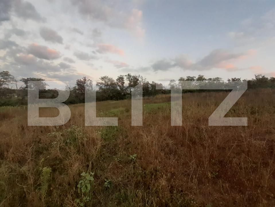 Teren de vânzare Tomesti - 169974TV | BLITZ Iași | Poza2