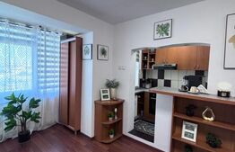 Apartament de vanzare, cu 3 camere, 50 mp, zona Podu Ros