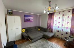 Casă formata din 1ap parter + 1 ap etaj,  153mp utili Valea Adanca