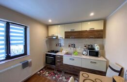 Casă formata din 1ap parter + 1 ap etaj,  153mp utili Valea Adanca