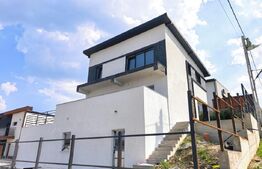 Casa D+P+1, 120 mp, 380 mp teren, Valea Adanca