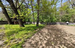 Padure in Barnova 1800 mp + 600 mp teren  pentru casa