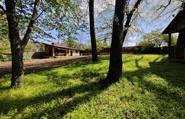 Padure in Barnova 1800 mp + 600 mp teren  pentru casa