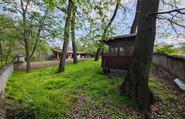 Padure in Barnova 1800 mp + 600 mp teren  pentru casa