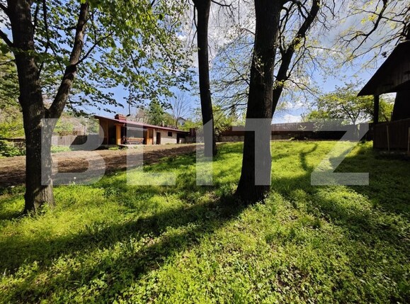 Teren de vânzare Bucium - 170238TV | BLITZ Iași | Poza1