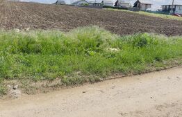 Teren intravilan de vanzare, 2500 mp, zona Miroslava