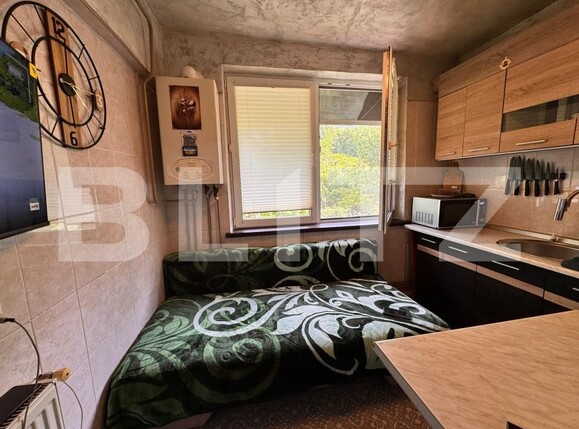 Garsonieră de vânzare Frumoasa - 170468AV | BLITZ Iași | Poza4