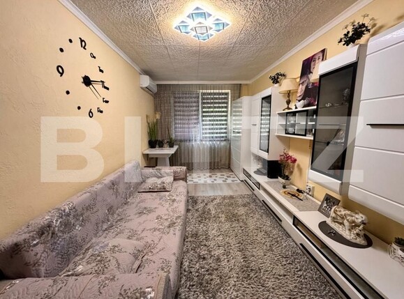 Garsonieră de vânzare Frumoasa - 170468AV | BLITZ Iași | Poza1