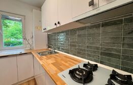Apartament de vanzare, cu 2 camere, 50mp, modern, zona Podu Ros