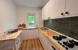 Apartament de vanzare, cu 2 camere, 50mp, modern, zona Podu Ros