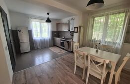 Casa Bucium zona Plopii fara Sot