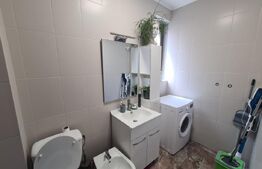 Casa Bucium zona Plopii fara Sot