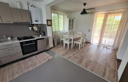 Casa Bucium zona Plopii fara Sot