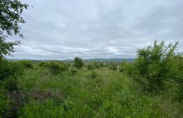 Teren 10.000mp Deschidere 52m  Zonă Mănăstirea Cetățuia – Iași