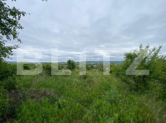 Teren de vânzare Hlincea - 170546TV | BLITZ Iași | Poza1