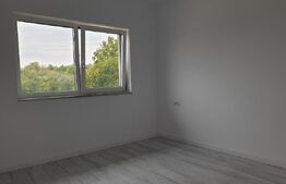 Casa 4 camere, 2 bai, 110 mp, 415 mp teren, Valea Lupului