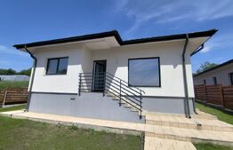 Casa 4 camere, 2 bai, 110 mp, 415 mp teren, Valea Lupului