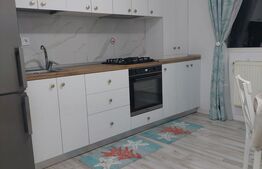 Apartament de vanzare, cu 2 camere, tip mansarda, 71 mp, zona Nicolina 
