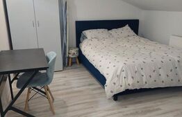 Apartament de vanzare, cu 2 camere, tip mansarda, 71 mp, zona Nicolina 