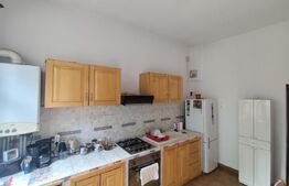 Casa 4 camere, 147 mp utili, 314 mp teren, Pacurari