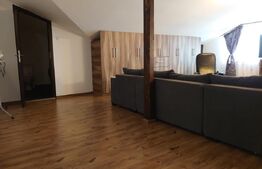 Apartament de 2 camere, mobilat si utilat, 130mp, cartier Visoianu