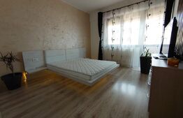 Apartament de 2 camere, mobilat si utilat, 130mp, cartier Visoianu
