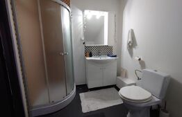 Apartament de 2 camere, mobilat si utilat, 130mp, cartier Visoianu