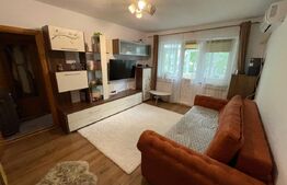 Apartament de vanzare, cu 2 camere, 42 mp,  zona Pacurari