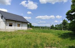 Casa spatioasa la rosu, 2024, 2800 mp teren, zona Andrieseni