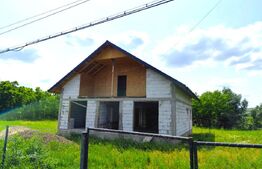 Casa spatioasa la rosu, 2024, 2800 mp teren, zona Andrieseni