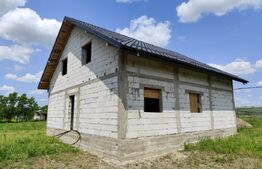 Casa spatioasa la rosu, 2024, 2800 mp teren, zona Andrieseni