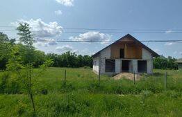 Casa spatioasa la rosu, 2024, 2800 mp teren, zona Andrieseni