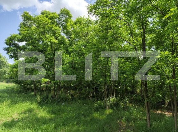 Casa de vânzare 4 camere Nord - 171934CV | BLITZ Iași | Poza7