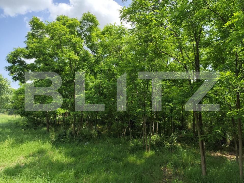 Casa de vânzare 4 camere Nord - 171934CV | BLITZ Iași | Poza7