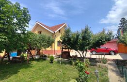 Casa 6 camere, 3 bai, 180 mp, 819 mp teren